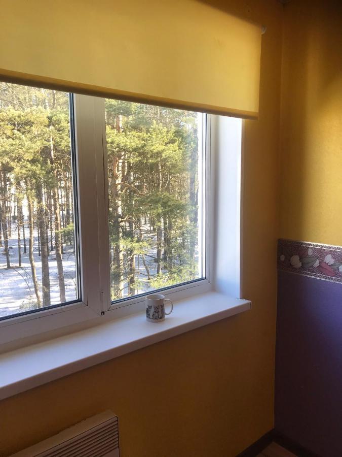Cosy Appartment. Puessi Town Pyussi Exterior foto